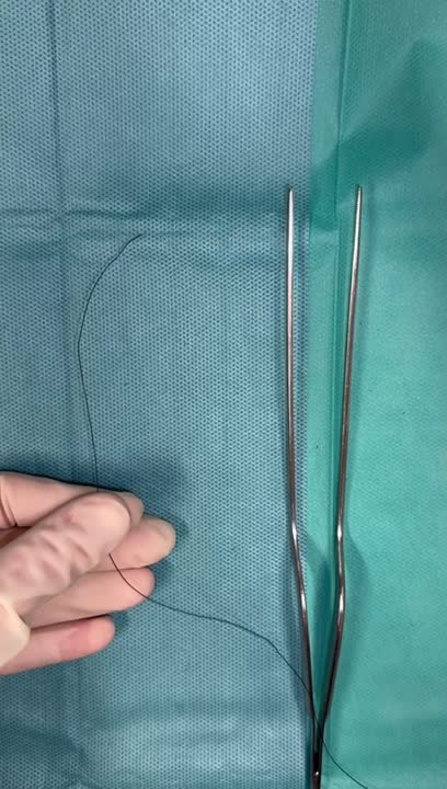 Approach Sb 3D model for closing the nasal mucosa in Endoscopic Endonasal ...